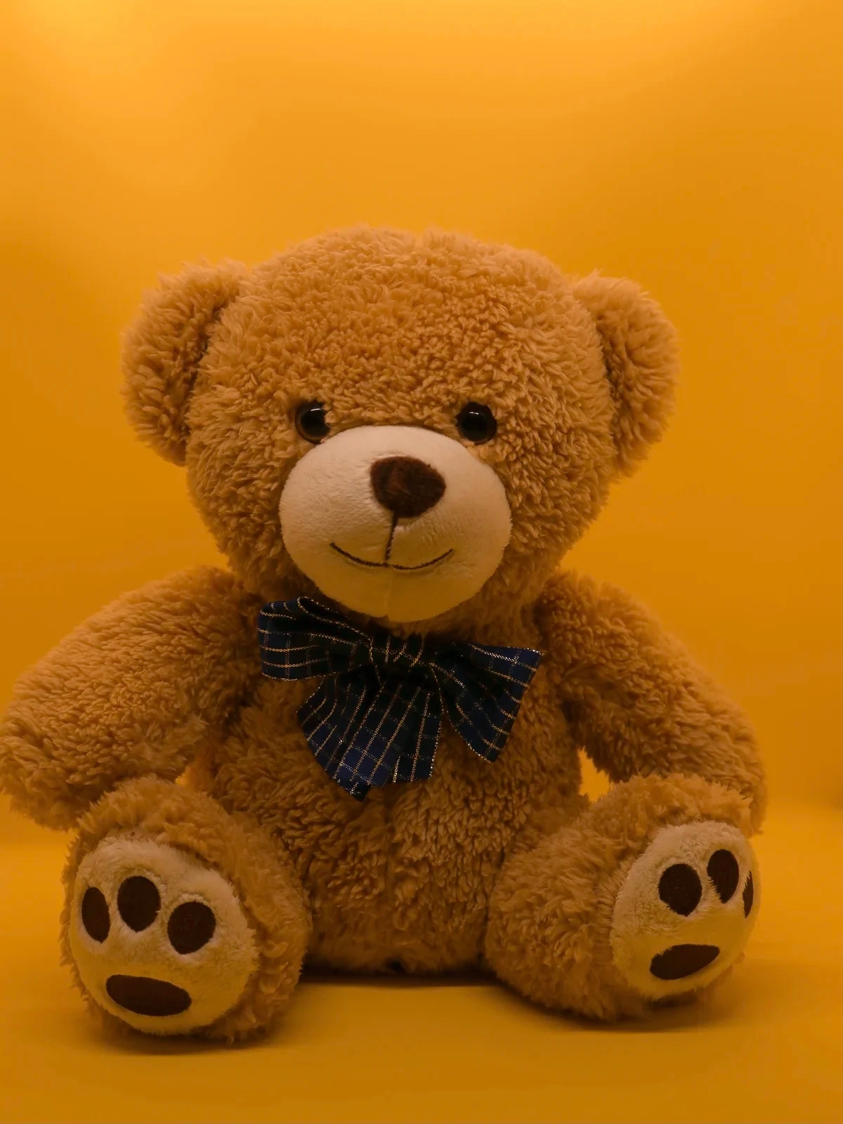 Mannie The Teddy image