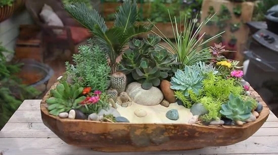 Botanical Harmony Dish Garden image