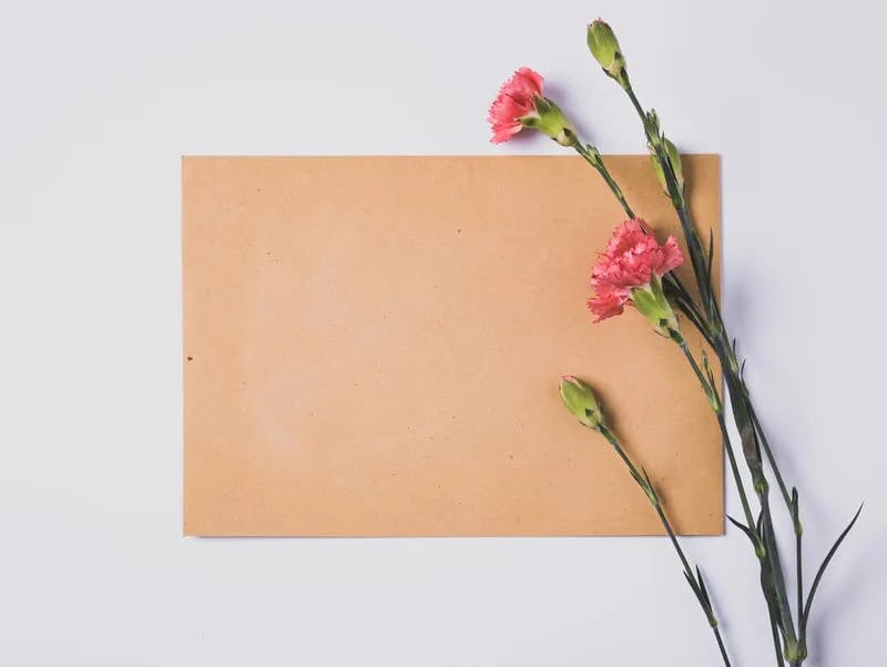 brown envelope on table